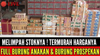 🔴 TERBARU  SIAP DIPANTAU HARGA KITA KASIH MURAH SEMUA 083875536945 [upl. by Chambers]