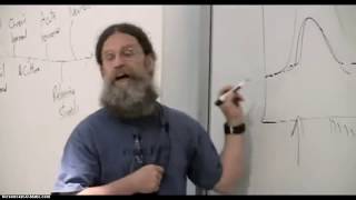 Sapolsky  Dopamine Anticipation amp Relationships [upl. by Welcome]