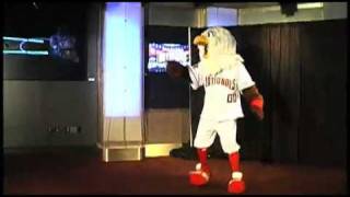 Nationals mascot busts a few moves at his reintroduction [upl. by Adnohs]