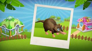 ZooCraft Fun Facts Time Vol 44 Solenodon [upl. by Htebazileharas]