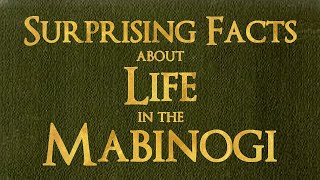 Life in the Mabinogi [upl. by February]