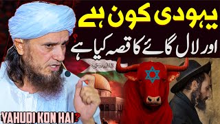 Yahudi Kon Hai Aur Red Cow Israel History In Islam  Mufti Tariq Masood  History Of Masjid Al Aqsa [upl. by Atselec]