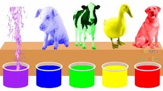 Farm Animals Bathing Colors Fun  Learn Colors for Children Kids Toddlers To Learn With Animals [upl. by Falk]