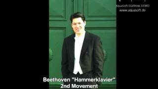 Beethoven quotHammerklavierquot 2nd Mov  Ingo Dannhorn piano [upl. by Einafit]