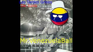 Mr VenezuelaBall Las Tardes Grises De Junio IA [upl. by Ilke261]