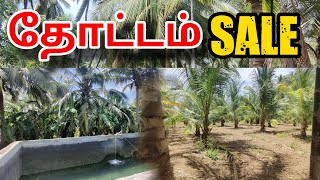 Thottam Sales in near Nambiyur  Gobichettipalayam  Tamil Land sales  Suba Murugan [upl. by Nivrehs459]