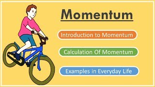 What is Momentum Physics [upl. by Ruhtua]