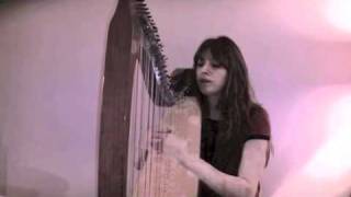 Mr Brightside  Killers cover  Jharda The Singing Harpist [upl. by Dyane]