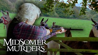 Can A Victim Survive Assassination  Midsomer Murders [upl. by Alard]