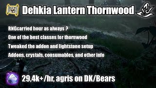 BDO  Dehkia Thornwood Forest Awake Witch 294khr [upl. by Pinette23]