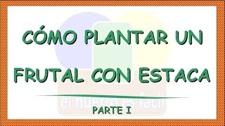 Como plantar frutales con estacas parte I [upl. by Evangeline383]