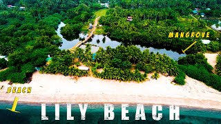 WHAT TO EXPECT IN LILY BEACH  LOBO BATANGAS [upl. by Arretak]