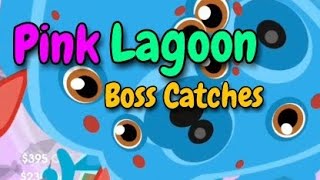 Pink Lagoon Instant Boss Catches  Hooked Inc fanrequest video upload [upl. by Virgina45]