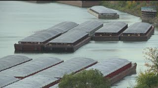 Barges grounded by low water halt Mississippi River traffic [upl. by Tevis749]