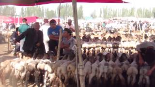 The Kashgar Livestock Market [upl. by Emirac]