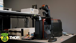 Thorlabs Veneto® Inverted Microscopy Platform [upl. by Htedirem]