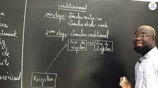 Cours  Terminale S2  SVT Résumé de cours  Lactivité Réflexe  M Gnasse [upl. by Bollinger]