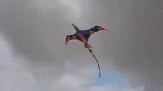 Giant 3D Blackwing Pterodactyl kite 2 [upl. by Nieberg417]