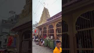 Akkalkot Swami Samarth Samadhi Mandir [upl. by Anrahs]