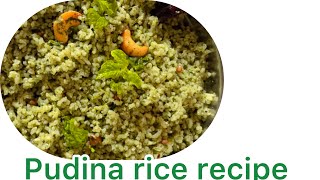 Simple pudina rice recipe with benefitspudina rice cooking [upl. by Herwig]