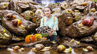 Harvest Snails To Make Delicious Traditional Snail Stew Cooking amp Gardening [upl. by Frederick]