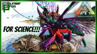 Rhyniognatha  The Science of the Perfect Tame oh and Rhynignatha Taming Pen [upl. by Nageem726]