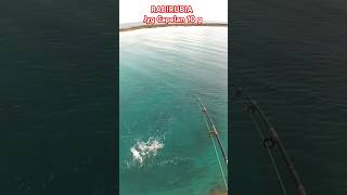 RABIRUBIA con JYHG short pesca spinning 🇨🇺🇨🇺 [upl. by Pitchford]