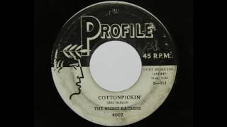 The Night Raiders  Cottonpickin Profile 4007 [upl. by Willy]