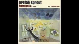 prefab sprout quotnightingales  12quotversion  726 [upl. by Adile]