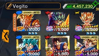 YoshaUltimate Full Vegito Team [upl. by Flss]