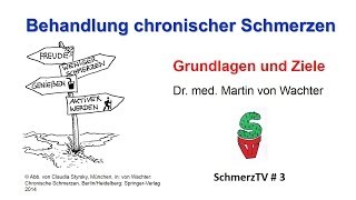 Behandlung chronischer Schmerzen  Grundlagen und Ziele [upl. by Anegroeg813]