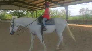 Horseback Riding Lessons for Kids Learning to Ride a Horse Walk Jog Circles [upl. by Ahasuerus]