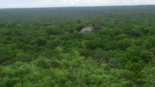 Calakmul Mayan Ruins Campeche State Mexico [upl. by Mariko]