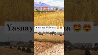 Guess the location  bgmi pubgmobile pubg pubgm trendingshorts gaming shorts ytshort yt ff [upl. by Enelaehs715]