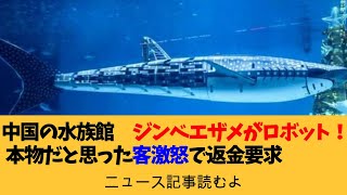 本物だと思ったら…深センの水族館 ジンベエザメはロボットだった！ 客激怒で返金要求【ニュース記事読むよ】【安眠用】 [upl. by Llebpmac]