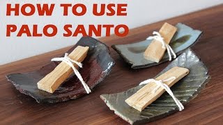 Benefits of Palo Santo Burning Palo Santo vs Sage  Jovanka Ciares [upl. by Laeahcim]