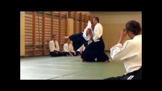 Matti Joensuu 6 dan Aikido seminar Balaton 2014 [upl. by Gordy531]