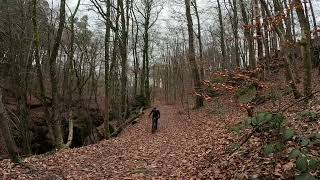 Mtb EchternachMüllertrail [upl. by Chancey]