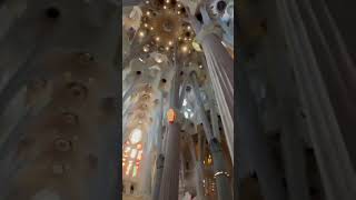 Inside the stunning Sagrada Familia Basilica in Barcelona😎 basilica barcelona spain [upl. by Caesar]