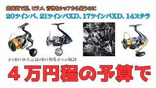 ４万円程の予算で２０ツインパ、２１ツインパXD、１７ツインパXD、１４ステラ、北海道で鮭、ヒラメ、青物をショアから狙うのに悩んでいます・釣り部屋からの雑談・四方山話１７６ [upl. by Eirelam]