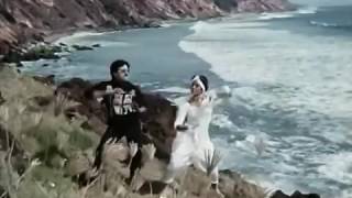 Radha radha madhilona mallela badha  State Rowdy  Rada Rada Song [upl. by Morentz513]