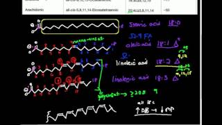 Unsaturated Fatty Acids Part 2 Nomenclature and Properties [upl. by Sukramal]