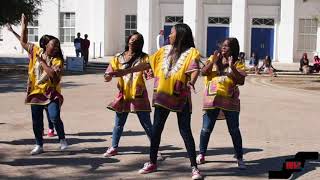 Beta Gamma Chapter of Delta Sigma Theta Sorority Inc Neophyte Presentation Fall17 [upl. by Ahsinut750]