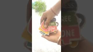 quot💡 MAGNETIC MYSTERY  Unboxing Random Fridge Magnetsquotmeeshofinds meesho [upl. by Ahsikit]