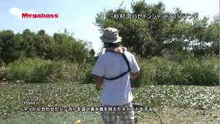 MEGABASS MOVIE 096 ハゼドンシャッド実釣 [upl. by Jolda128]