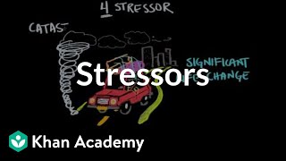 Stressors  Processing the Environment  MCAT  Khan Academy [upl. by Gwendolin]