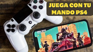 Como jugar con mando de PLAYSTATION 4 en CALL OF DUTY MOBILE GUÍA COMPLETA 2024 🎮 [upl. by Maguire140]