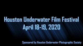 Houston Underwater Film Festival 2020 trailer [upl. by Aplihs]