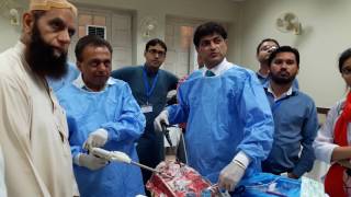 Pleuroscopy Procedure  Medical Thoracoscopy Training  Handson Workshop  Pleuroscopy Video [upl. by Lewes180]