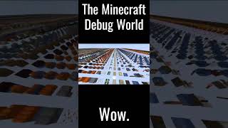 The Minecraft Debug World [upl. by Yllen]